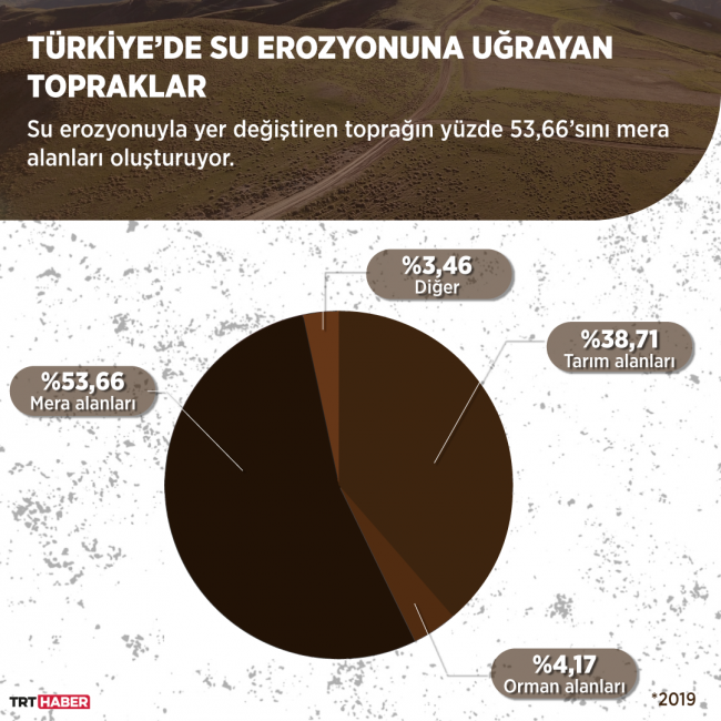 Grafik: Şeyma Özkaynak / TRT Haber